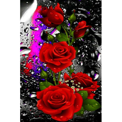 Diamantové malování - Červené růže - č. 483 65x95 cm