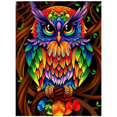 Diamantové malování - Barevná sova - č. 485 40x50 cm