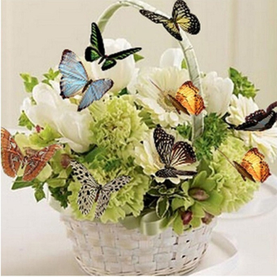 Diamantové malování - Motýlí košík - č. 503 40x40 cm