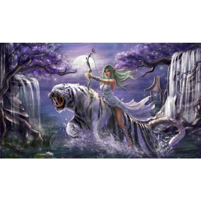 Diamantové malování -AB - Elfka na tygrovi - č. 513 85x55 cm