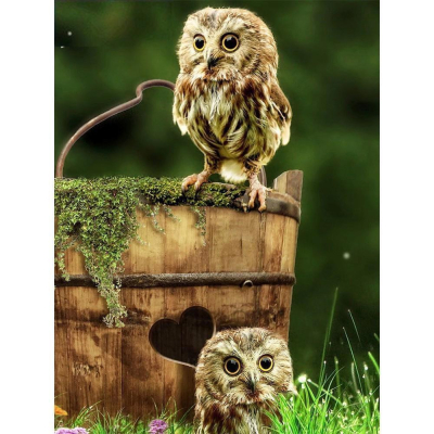 Diamantové malování - Sovičky - č. 526 30x40 cm