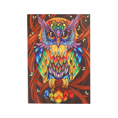 Diamantové malování - Sova - č. DS008 30x40 cm