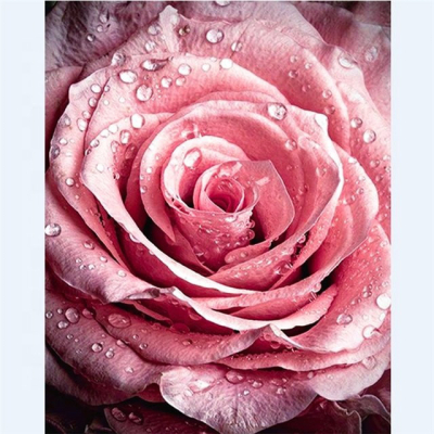 Diamantové malování - Růžový květ - č. 574 50x70 cm