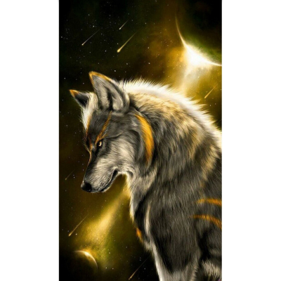 Diamantové malování - Vlk a meteority - č. 577 40x60 cm