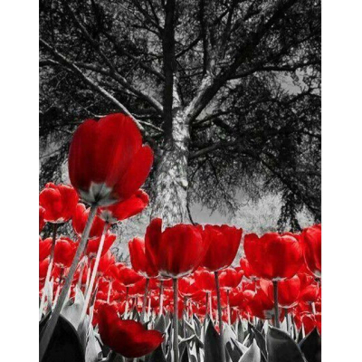 Diamantové malování - Červené tulipány - č. 598 50x60 cm