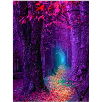 Diamantové malování - Fialový les - č. 601 65x95 cm