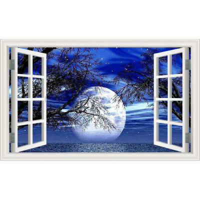 Diamantové malování - Měsíc v okn - č. 607 95x125 cm