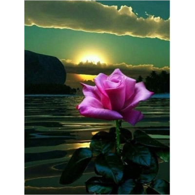 Diamantové malování - Růže a jezero - č. 617 30x40 cm