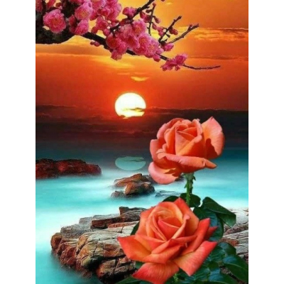 Diamantové malování - Růže v západu slunce - č. 618 30x40 cm