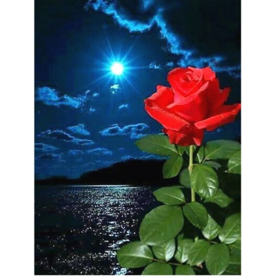 Diamantové malování - Růže u jezera za úplňku - č. 619...