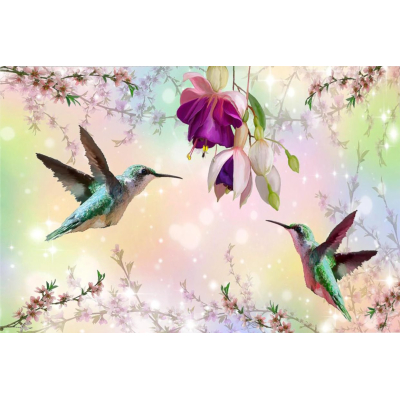 Diamantové malování - Kolibříci u květu - č. 633 40x60 cm