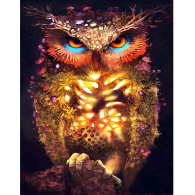 Diamantové malování - Sova přírodní - č. 672 60x80 cm