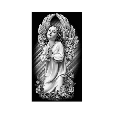 Diamantové malování - Modlící se anděl - č. 673 50x80 cm