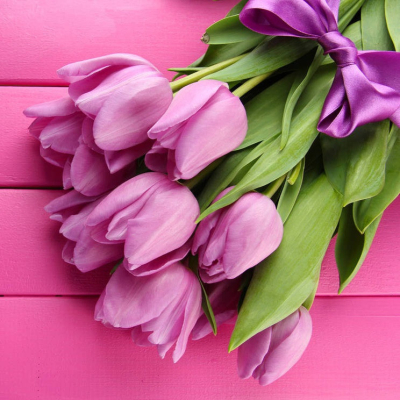 Diamantové malování - Tulipaány s fialovou stuhou - č....