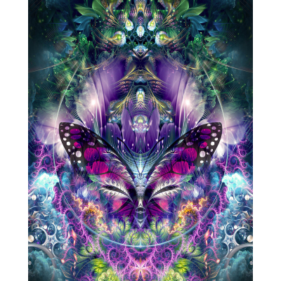 Diamantové malování - Motýli abstrakce-čČ.702 40x50 cm