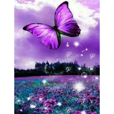 Diamantové malování - Fialovyý motýl nad loukou - č. 714...