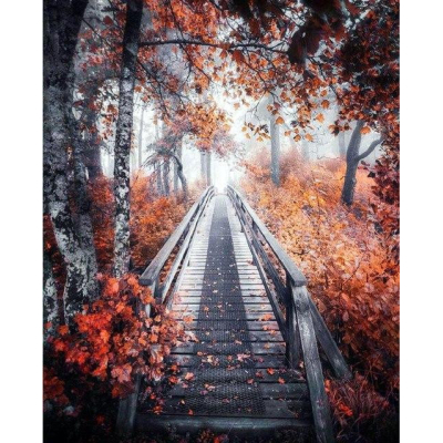 Diamantové malování - Cesta do lesa - č. 725 65x85 cm