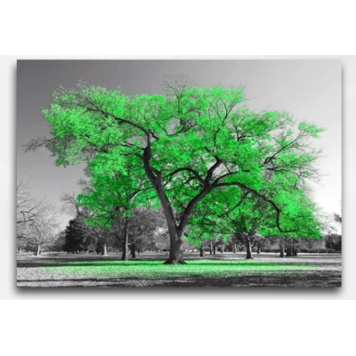 Diamantové malování - Zelený strom - č. 737 55x75 cm