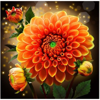 Diamantové malování - Rozkvetlá jiřina - č. 748 40x40 cm