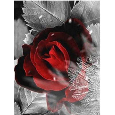 Diamantové malování - Růže a vločka - č. 753 50x60 cm