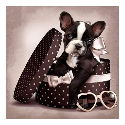 Diamantové malování - Buldoček v krabici - č. 777 40x40 cm