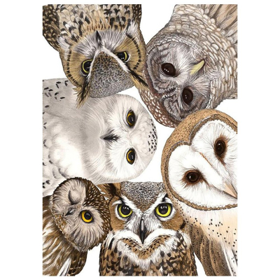 Diamantové malování - Sovy - č. 811 30x40 cm