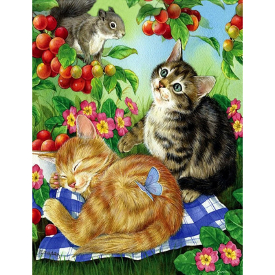 Diamantové malování - Koťata a veverka - č. 826 65x85 cm