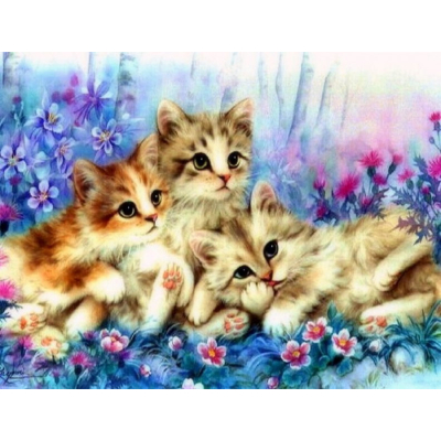 Diamantové malování - Koťátka v kvítí - č. 827 65x85 cm