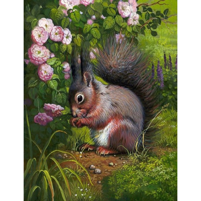 Diamantové malování - Veverka s oříškem - č. 833 65x85 cm