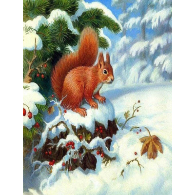 Diamantové malování - Veverka na zasněženém pařezu - č....
