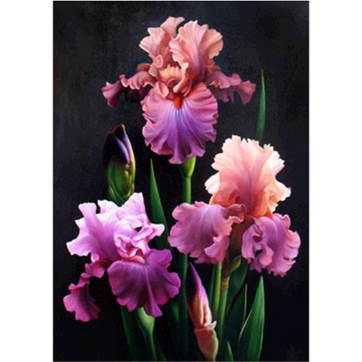 Diamantové malování - Kosatce - č. 839 40x60 cm