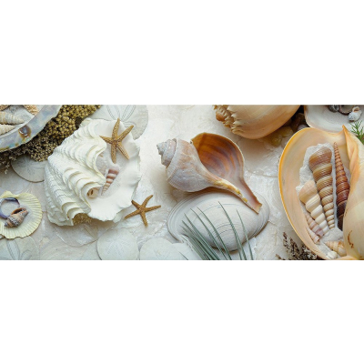 Diamantové malování - Mušle - č. 853 85x45 cm