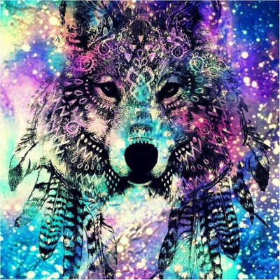 Diamantové malování - Barevný indiánský vlk - č. 865...