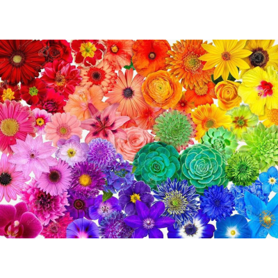 Diamantové malování - Malované kvítí - č. 876 105x75 cm