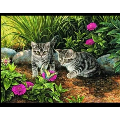 Diamantové malování - Koťátka s motýlem v trávě - č. 881...