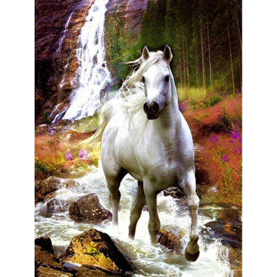 Diamantové malování - Bílý kůň v bystřině - č. 886 35x45 cm