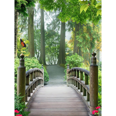 Diamantové malování - Lávka v lese - č. 888 40x60 cm