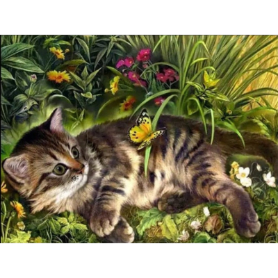 Diamantové malování - Kotě s motýlem - č. 893 65x95 cm