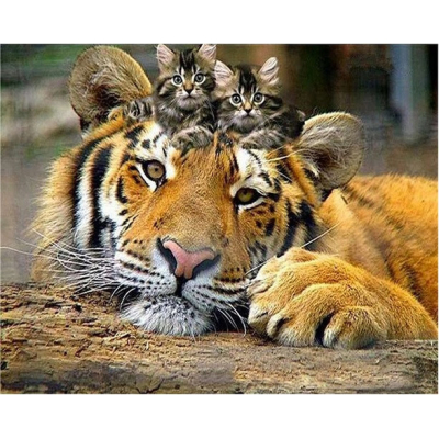 Diamantové malování - Tygr a koťata  - č. 918 40x50 cm