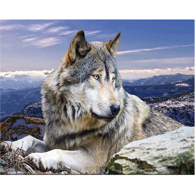 Diamantové malování - Vlk na skále - č. 919 40x50 cm