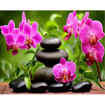 Diamantové malování - Orchidej v zenu - č. 920 40x50 cm