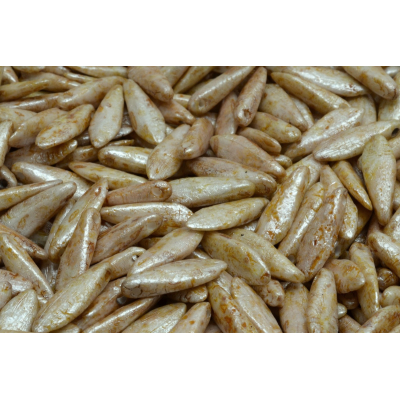 Koralky - jazýčky č. 1737 (16x5 mm)