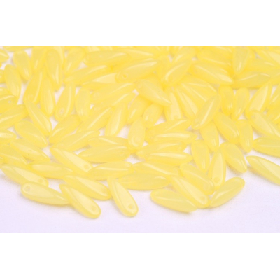 Koralky - jazýčky č. 4850 (10x3 mm)