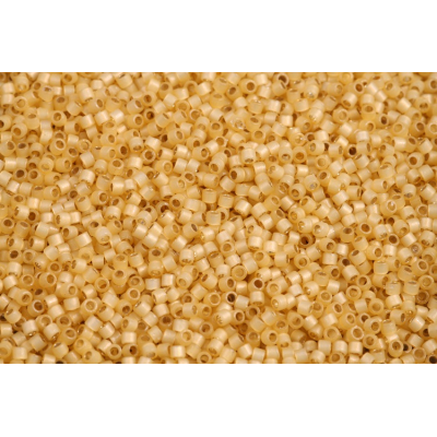 MIYUKI Delica 11/0 - č.1047