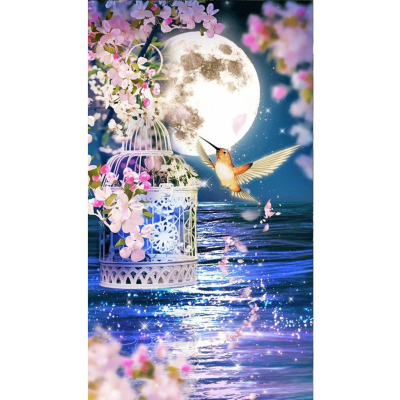 Diamantové malování – Kolibřík u klícky č. 951