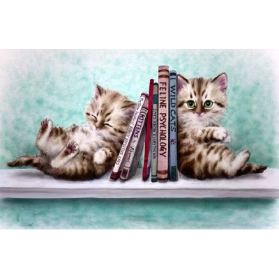 Diamantové malování - Koťata s knihami č. 970