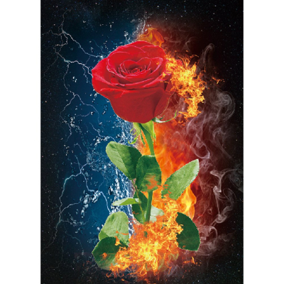 Diamantové malování - Červená růže v plamenech č. 976