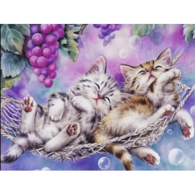 Diamantové malování - Koťata v síti č. 1000
