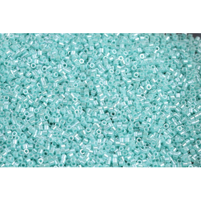 MIYUKI Delica 15/0 - č. D6