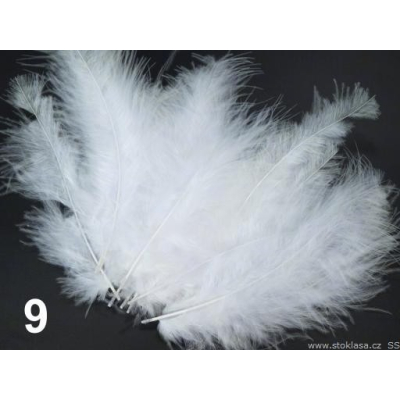 Pštrosí peří bílé č.1